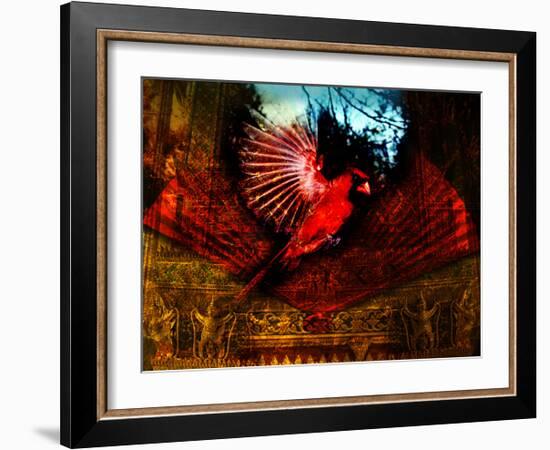 Red Cardinal Thai Temp-Daniel Stanford-Framed Art Print