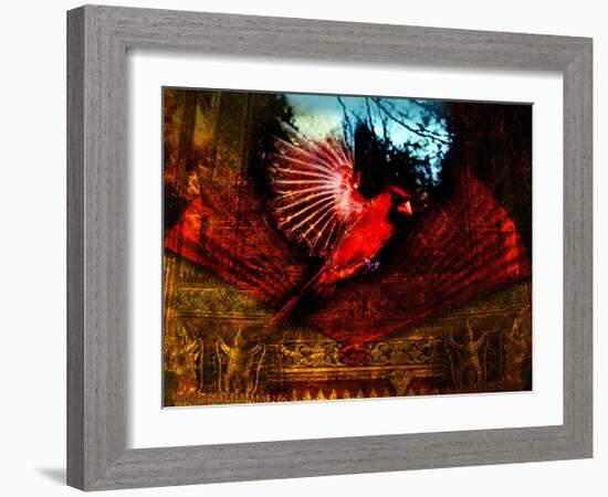 Red Cardinal Thai Temp-Daniel Stanford-Framed Art Print