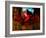 Red Cardinal Thai Temp-Daniel Stanford-Framed Art Print