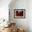 Red Cardinal Thai Temp-Daniel Stanford-Framed Art Print displayed on a wall