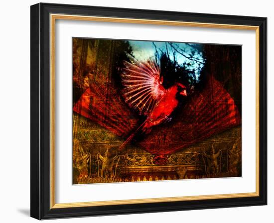 Red Cardinal Thai Temp-Daniel Stanford-Framed Art Print