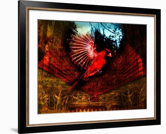 Red Cardinal Thai Temp-Daniel Stanford-Framed Art Print