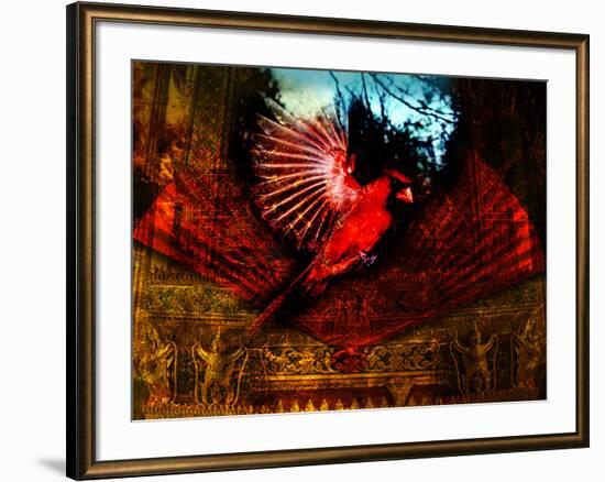 Red Cardinal Thai Temp-Daniel Stanford-Framed Art Print