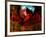 Red Cardinal Thai Temp-Daniel Stanford-Framed Art Print