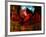 Red Cardinal Thai Temp-Daniel Stanford-Framed Art Print