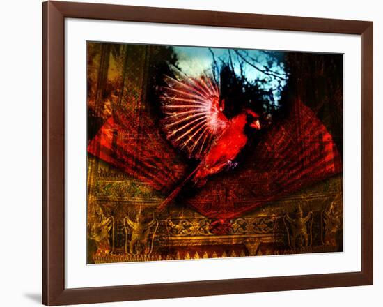 Red Cardinal Thai Temp-Daniel Stanford-Framed Art Print