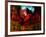 Red Cardinal Thai Temp-Daniel Stanford-Framed Art Print