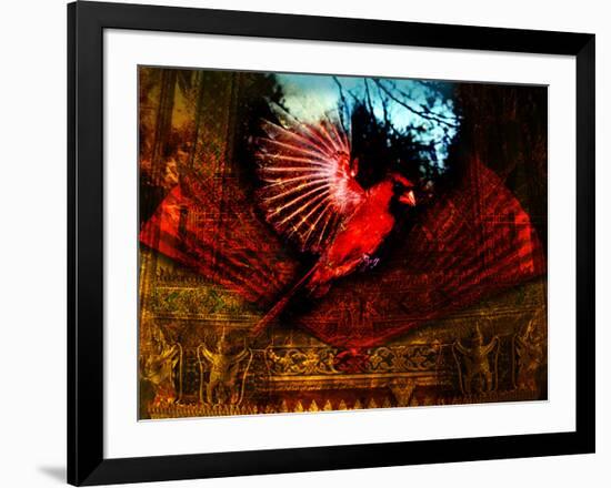 Red Cardinal Thai Temp-Daniel Stanford-Framed Art Print