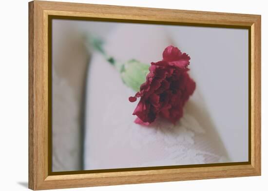 Red Carnation-Carolina Hernandez-Framed Premier Image Canvas