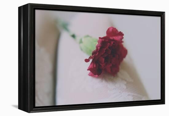 Red Carnation-Carolina Hernandez-Framed Premier Image Canvas