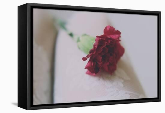 Red Carnation-Carolina Hernandez-Framed Premier Image Canvas