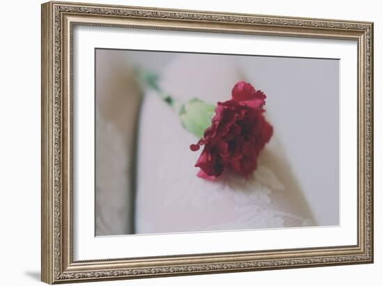 Red Carnation-Carolina Hernandez-Framed Photographic Print