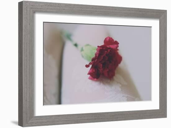 Red Carnation-Carolina Hernandez-Framed Photographic Print