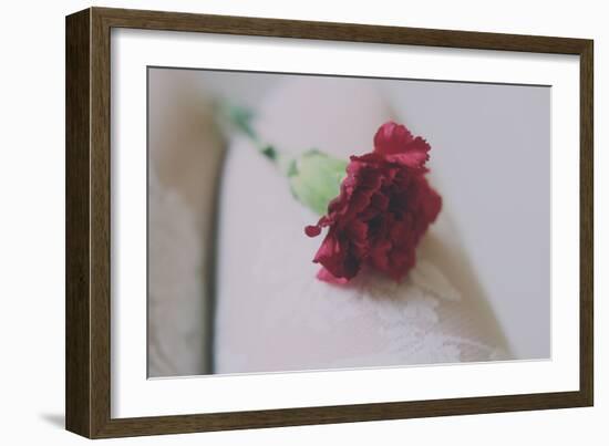 Red Carnation-Carolina Hernandez-Framed Photographic Print