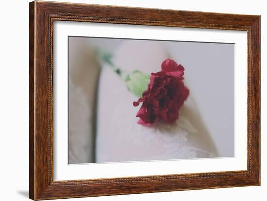 Red Carnation-Carolina Hernandez-Framed Photographic Print