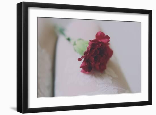 Red Carnation-Carolina Hernandez-Framed Photographic Print