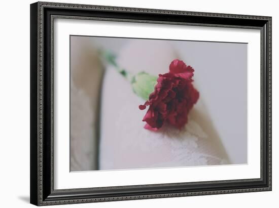 Red Carnation-Carolina Hernandez-Framed Photographic Print