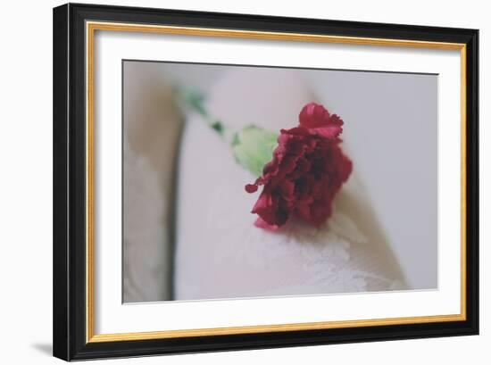 Red Carnation-Carolina Hernandez-Framed Photographic Print