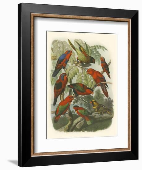 Red Cassel Birds II-Cassell-Framed Art Print