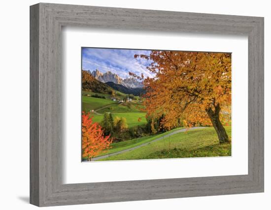 Red Cherry Trees in Autumn Color the Country Road around St. Magdalena Village-Roberto Moiola-Framed Photographic Print