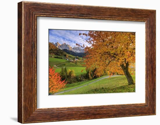 Red Cherry Trees in Autumn Color the Country Road around St. Magdalena Village-Roberto Moiola-Framed Photographic Print