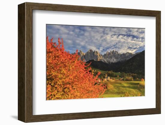 Red Cherry Trees in Autumn Color the Country Road around St. Magdalena Village-Roberto Moiola-Framed Photographic Print