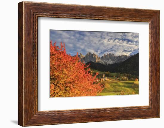 Red Cherry Trees in Autumn Color the Country Road around St. Magdalena Village-Roberto Moiola-Framed Photographic Print