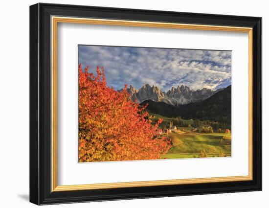 Red Cherry Trees in Autumn Color the Country Road around St. Magdalena Village-Roberto Moiola-Framed Photographic Print