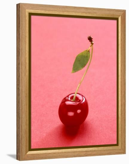 Red Cherry with Stalk and One Leaf-Axel Struwe-Framed Premier Image Canvas