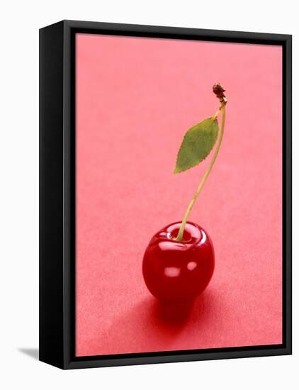 Red Cherry with Stalk and One Leaf-Axel Struwe-Framed Premier Image Canvas