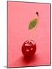 Red Cherry with Stalk and One Leaf-Axel Struwe-Mounted Photographic Print