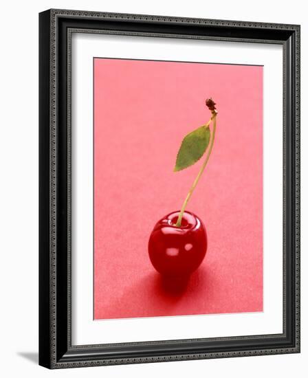 Red Cherry with Stalk and One Leaf-Axel Struwe-Framed Photographic Print