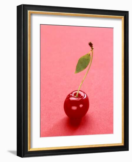 Red Cherry with Stalk and One Leaf-Axel Struwe-Framed Photographic Print