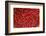 Red chili, Dong Ba Market, Hue, Thua Thien-Hue Province, Vietnam-David Wall-Framed Photographic Print