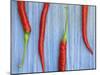 Red Chilli Peppers Chillies Freshly Harvested on Pale Blue Background-Gary Smith-Mounted Photographic Print