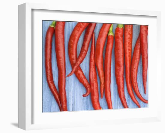 Red Chilli Peppers Chillies Freshly Harvested on Pale Blue Background-Gary Smith-Framed Photographic Print