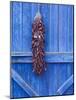 Red Chilli Peppers on Barn Door, New Mexico, United States of America, North America-Michael DeFreitas-Mounted Photographic Print