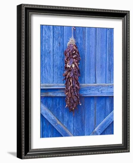 Red Chilli Peppers on Barn Door, New Mexico, United States of America, North America-Michael DeFreitas-Framed Photographic Print