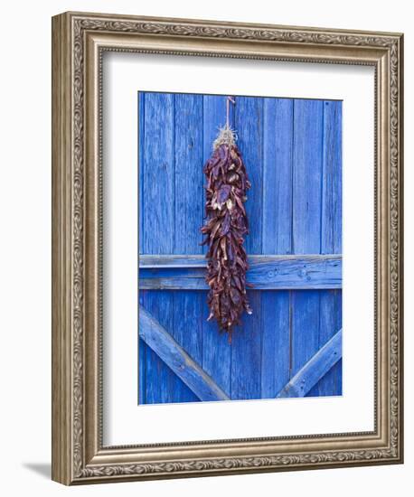 Red Chilli Peppers on Barn Door, New Mexico, United States of America, North America-Michael DeFreitas-Framed Photographic Print