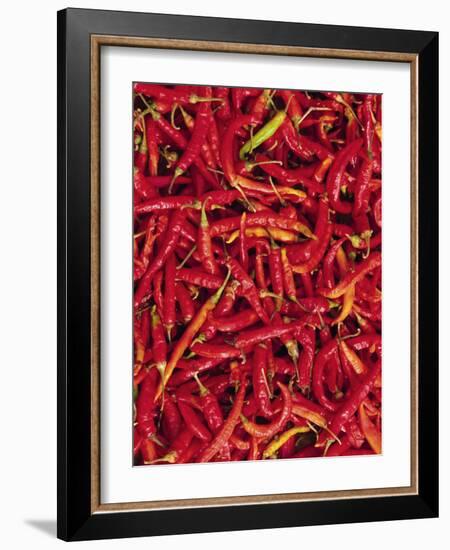 Red Chilli Peppers, Rajasthan, India-Bruno Morandi-Framed Photographic Print