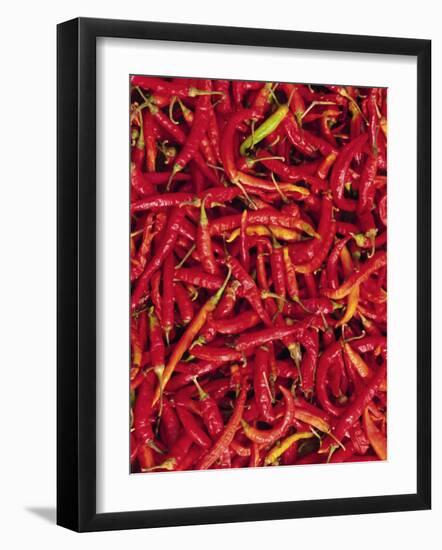 Red Chilli Peppers, Rajasthan, India-Bruno Morandi-Framed Photographic Print