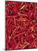 Red Chilli Peppers, Rajasthan, India-Bruno Morandi-Mounted Photographic Print