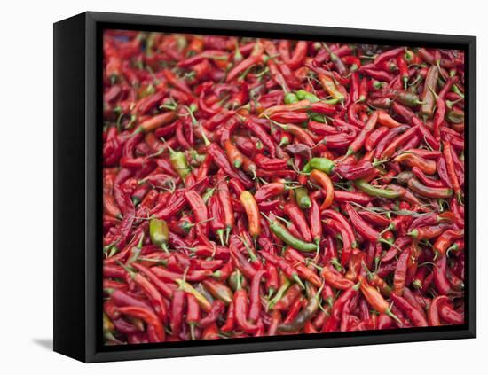 Red Chillies for Sale at Paro Open-Air Market, Red and Green Chillies are Very Important Ingredient-Nigel Pavitt-Framed Premier Image Canvas