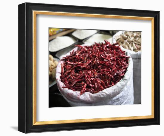 Red Chillies for Sale, Old Delhi, India, Asia-Wendy Connett-Framed Photographic Print