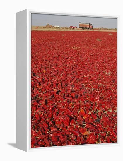 Red Chillies Laid Out to Dry in the Sun and Lorries Waiting to Be Loaded, Tonk District-Annie Owen-Framed Premier Image Canvas