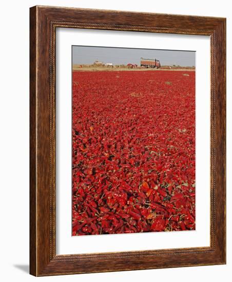 Red Chillies Laid Out to Dry in the Sun and Lorries Waiting to Be Loaded, Tonk District-Annie Owen-Framed Photographic Print