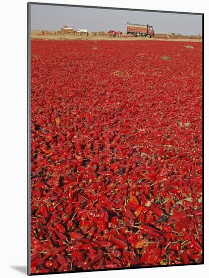 Red Chillies Laid Out to Dry in the Sun and Lorries Waiting to Be Loaded, Tonk District-Annie Owen-Mounted Photographic Print