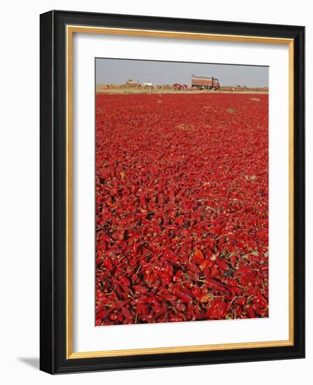 Red Chillies Laid Out to Dry in the Sun and Lorries Waiting to Be Loaded, Tonk District-Annie Owen-Framed Photographic Print