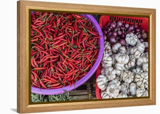 Red Chillies, Onions, and Garlic for Sale at Fresh Food Market in Chau Doc-Michael Nolan-Framed Premier Image Canvas