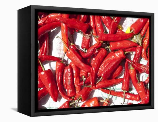 Red Chillis Drying in the Sun Punakha Valley, Bhutan, Asia-Lee Frost-Framed Premier Image Canvas